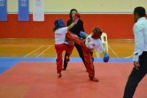 kickboks tekme